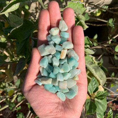 Amazonite Chips