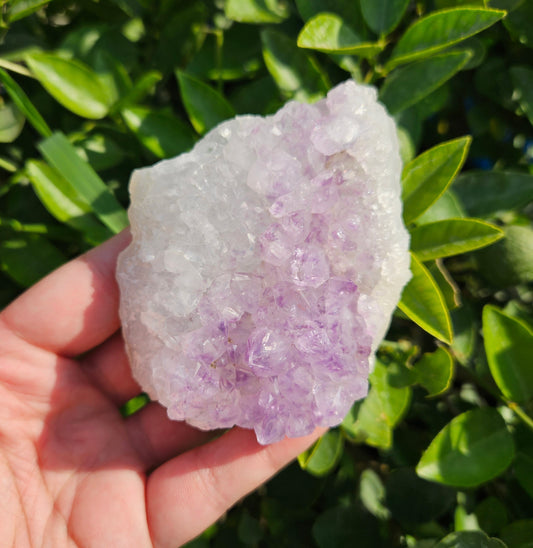 Amethyst cluster 241g