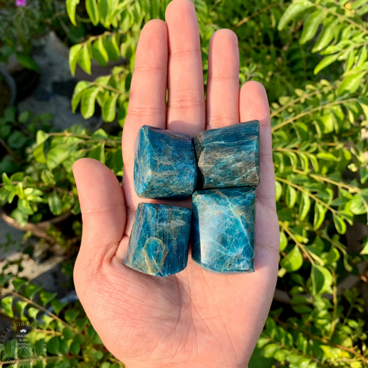 Blue Apatite Tumble- Premium Quality