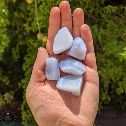 Blue Lace Agate Premium Tumble