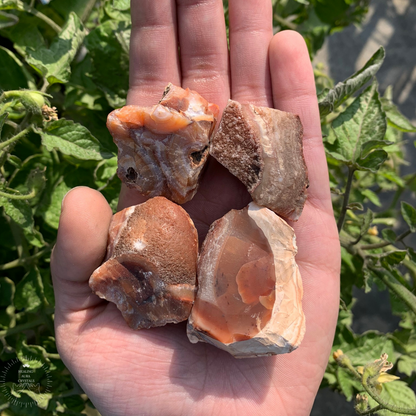 Carnelian Raw 50g