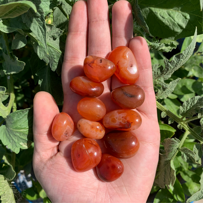 Carnelian Tumble