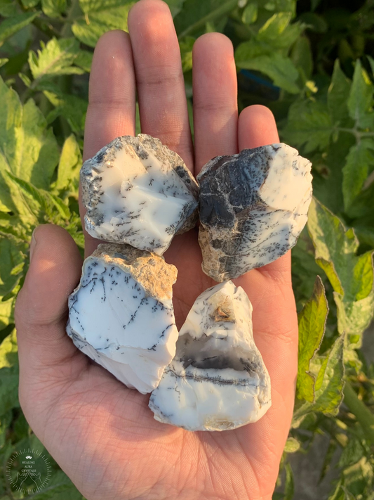 Dendritic Quartz Agate Raw