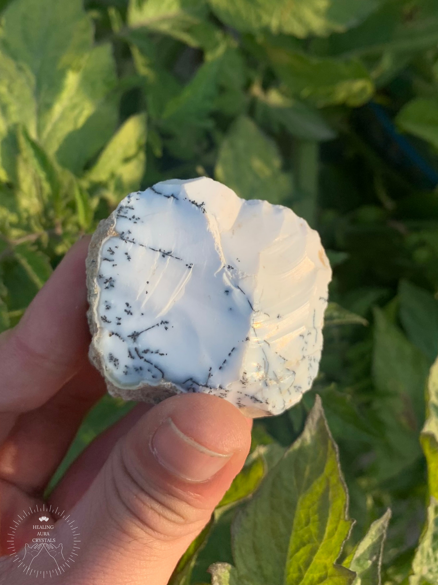 Dendritic Quartz Agate Raw