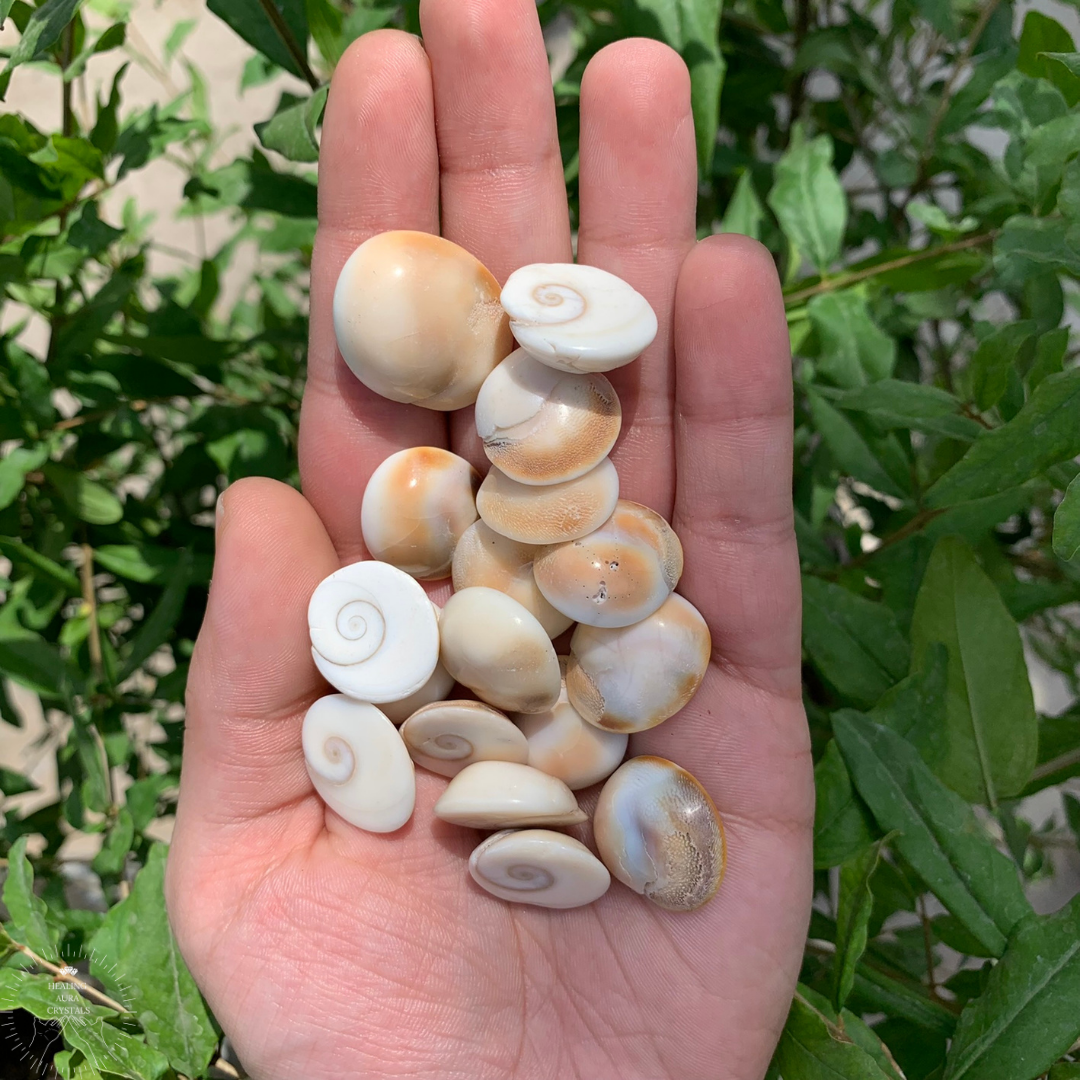 Gomati Chakra