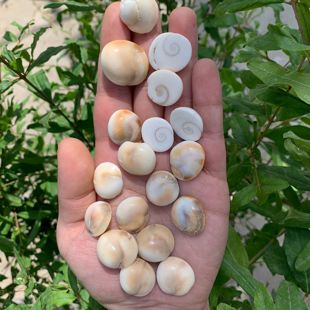 Gomati Chakra