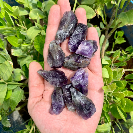 Amethyst Raw Mini 15g- Set of 2 pcs