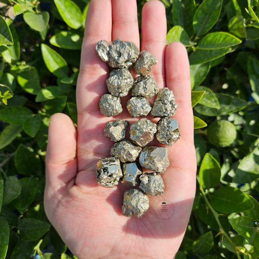 Pyrite Premium Extra Mini Cluster