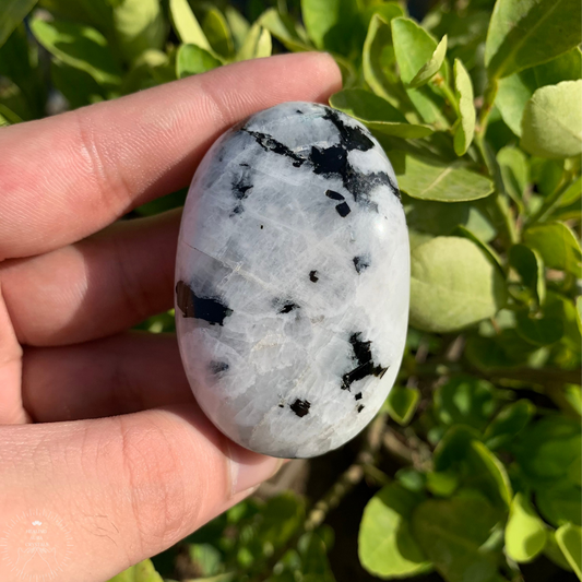 Rainbow Moonstone Palm Stone