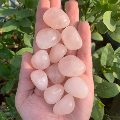 Rose Quartz Premium Tumble