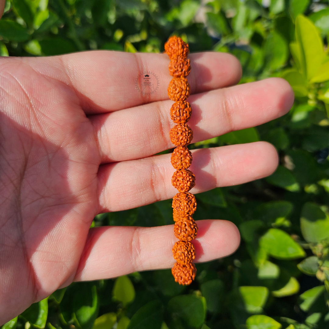 Rudraksha Natural Bracelet- Five Faced