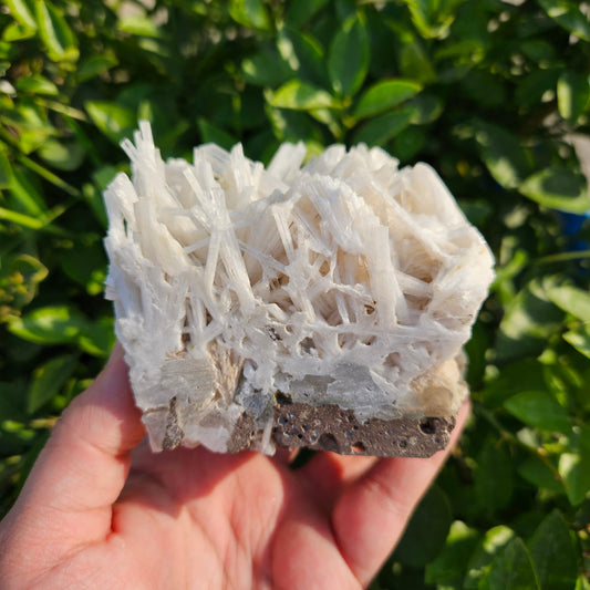 Scolecite Cluster 436 grams