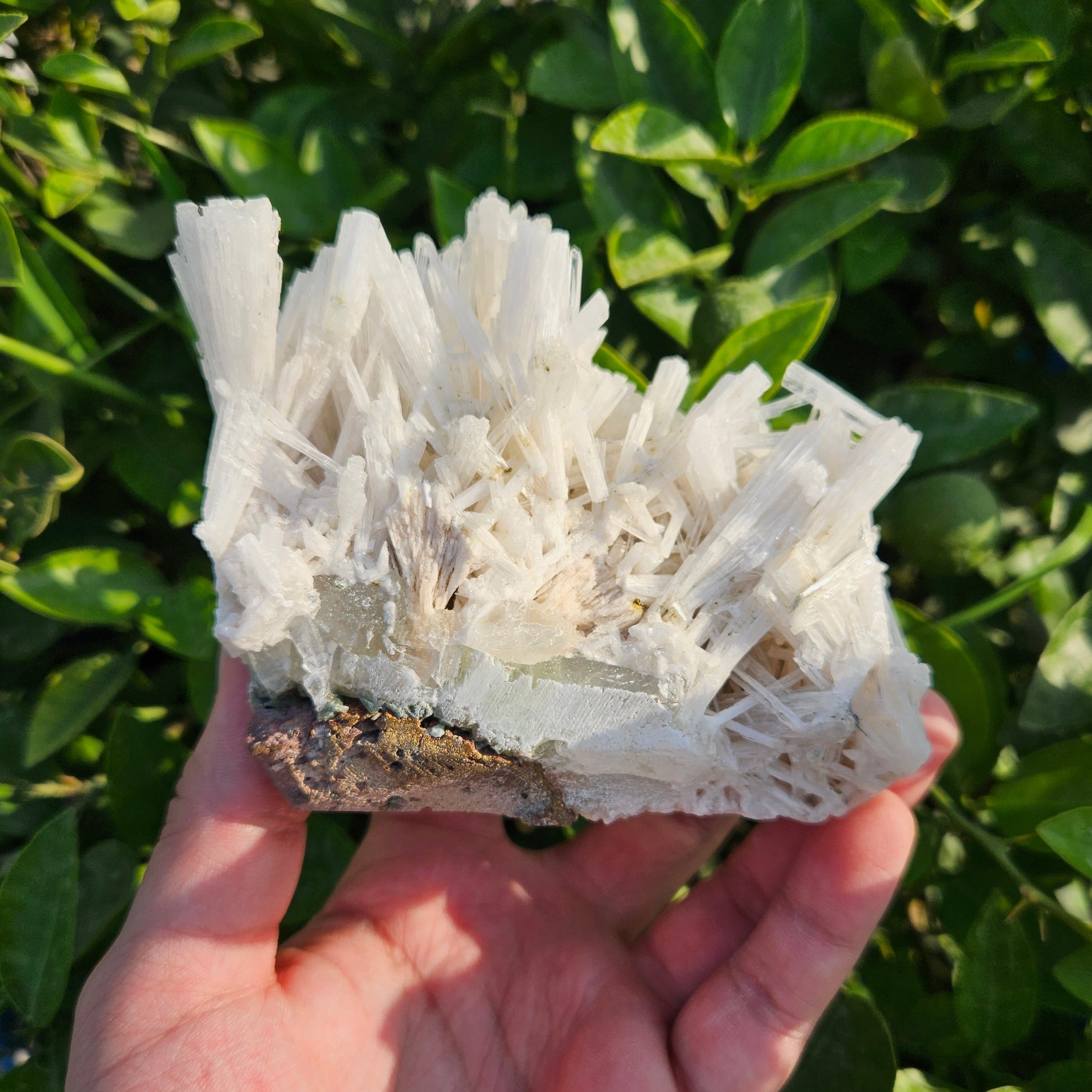 Scolecite Cluster 395 Grams Healing Aura Crystals scolecite-cluster-395-grams-healing-aura-crystals