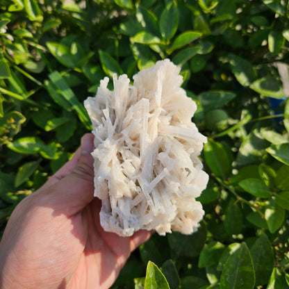 Scolecite Cluster 436 grams