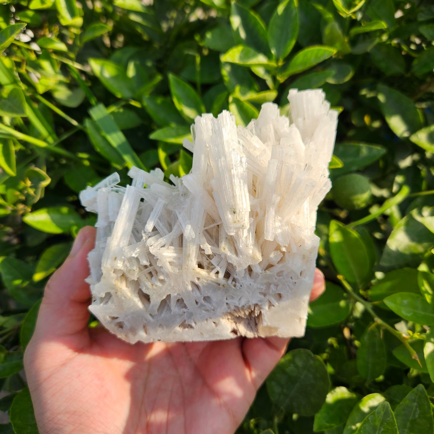 Scolecite Cluster 395 grams