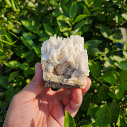Scolecite Cluster 436 grams