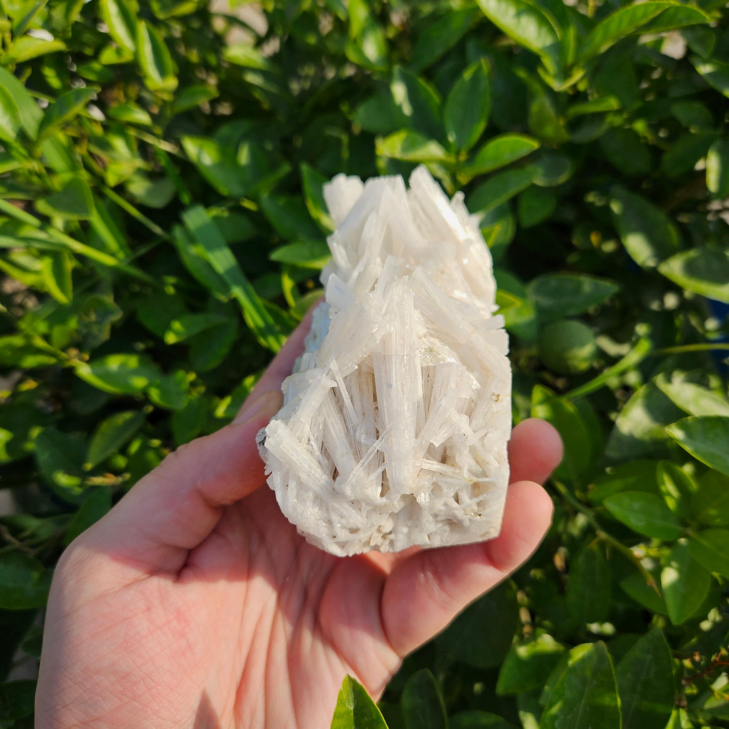 Scolecite Cluster 395 grams