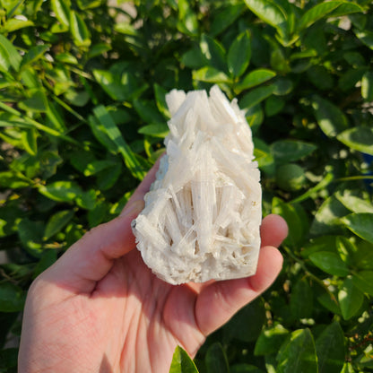 Scolecite Cluster 395 grams