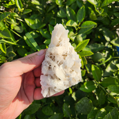 Scolecite Cluster 261 grams