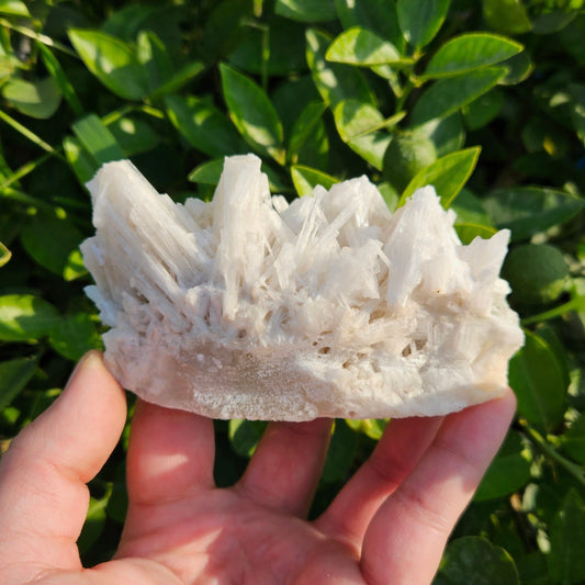 Scolecite Cluster 261 grams