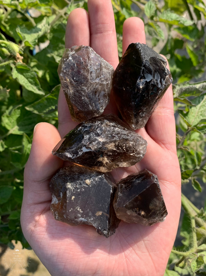 Smoky Quartz Raw Dark