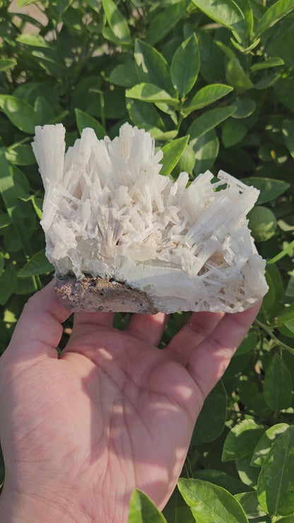 Scolecite Cluster 395 grams